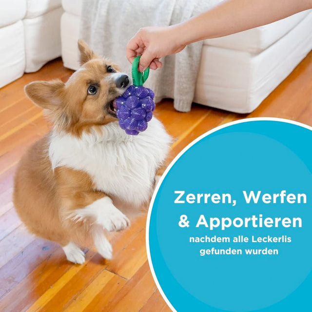 Planet Dog Hundespielzeug Dental Grapes Interaktiv