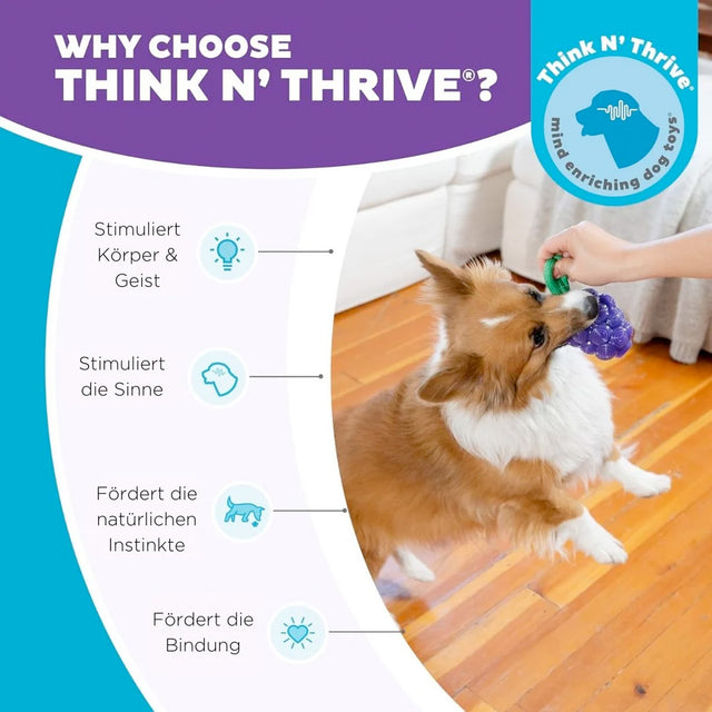 Planet Dog Hundespielzeug Dental Grapes Interaktiv