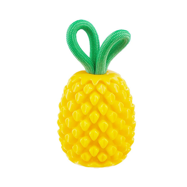Planet Dog Hundespielzeug Dental Pineapple Interaktiv