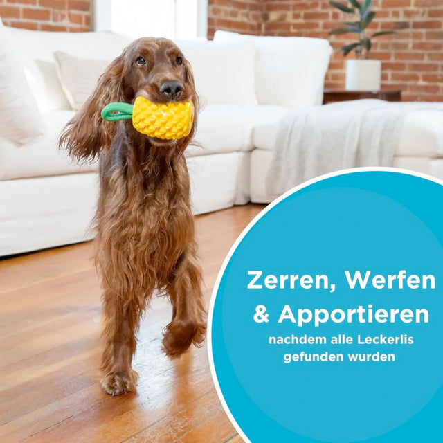 Planet Dog Hundespielzeug Dental Pineapple Interaktiv