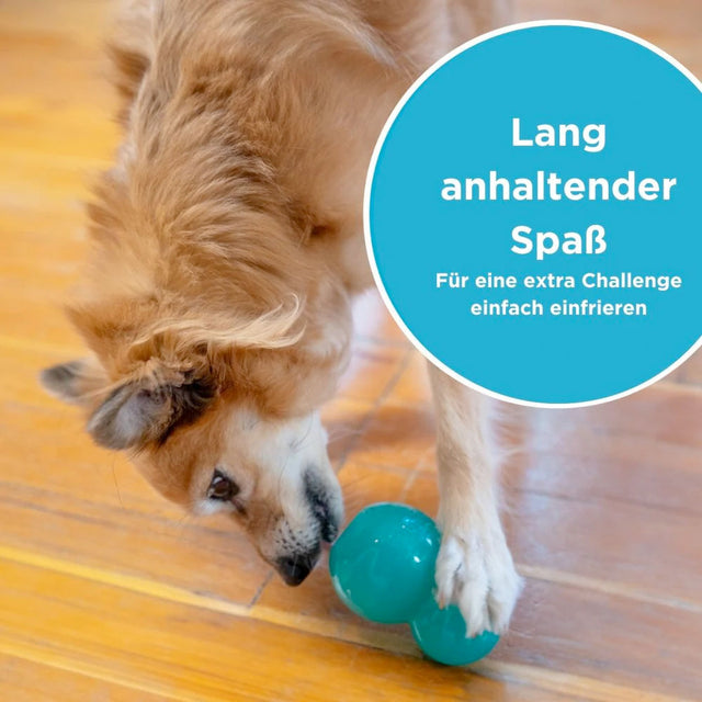 Planet Dog Hundespielzeug Double-Tuff® Blue, Medium Interaktiv