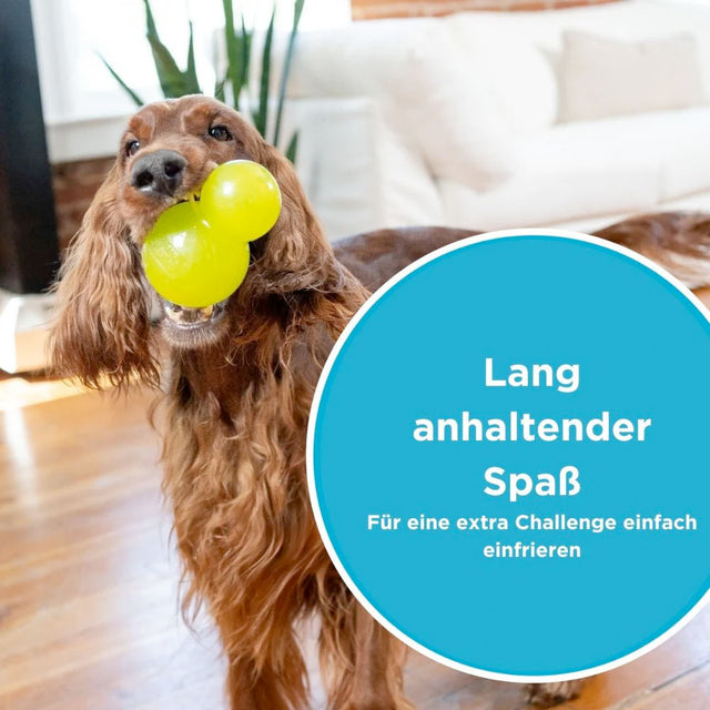 Planet Dog Hundespielzeug Double-Tuff® Green, Large Interaktiv