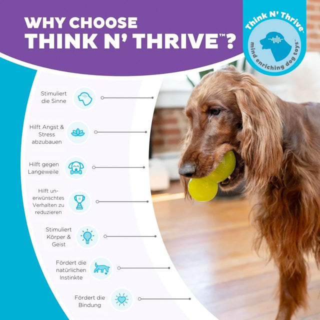 Planet Dog Hundespielzeug Double-Tuff® Green, Large Interaktiv