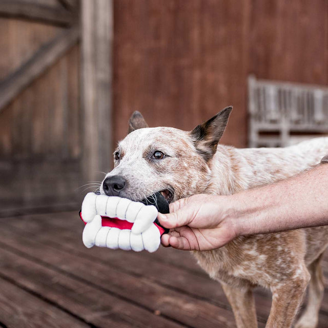P.L.A.Y. Hundespielzeug | Barky`s Bite Stoffspielzeug
