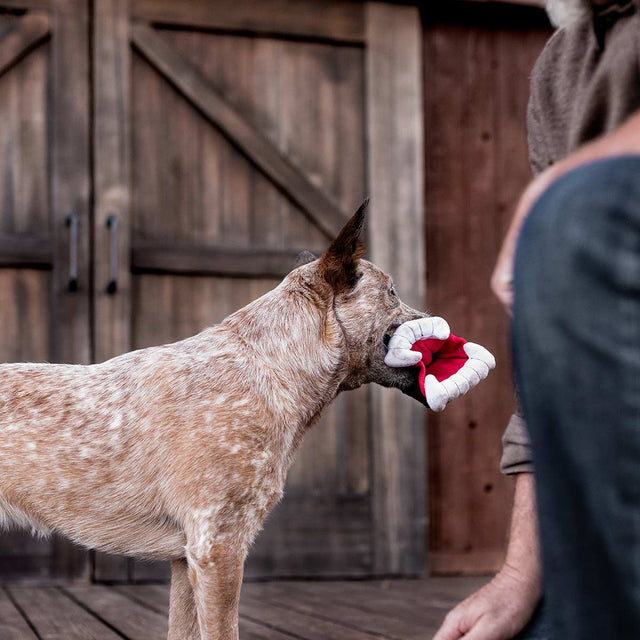 P.L.A.Y. Hundespielzeug | Barky`s Bite Stoffspielzeug