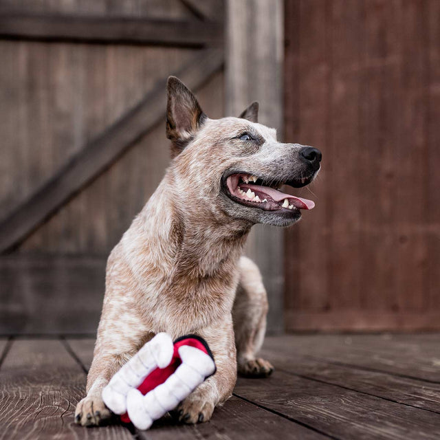 P.L.A.Y. Hundespielzeug | Barky`s Bite Stoffspielzeug