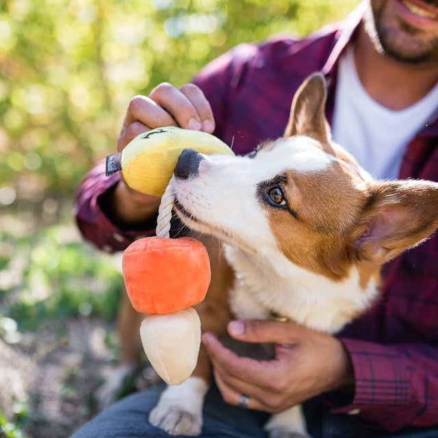 P.L.A.Y. Hundespielzeug | Canine Corn Stoffspielzeug