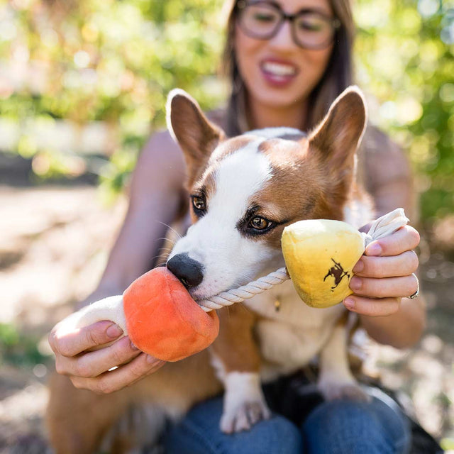 P.L.A.Y. Hundespielzeug | Canine Corn Stoffspielzeug