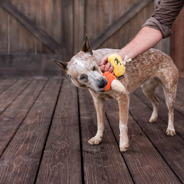 P.L.A.Y. Hundespielzeug | Canine Corn Stoffspielzeug