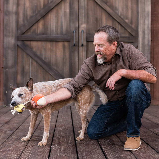 P.L.A.Y. Hundespielzeug | Canine Corn Stoffspielzeug