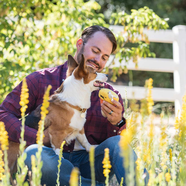 P.L.A.Y. Hundespielzeug | Canine Corn Stoffspielzeug