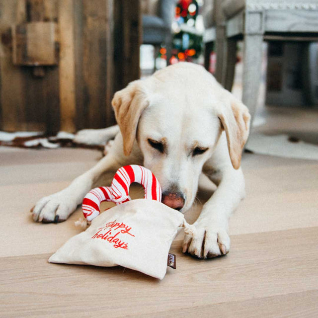 P.L.A.Y. Hundespielzeug | Cheerful Candy Canes Stoffspielzeug