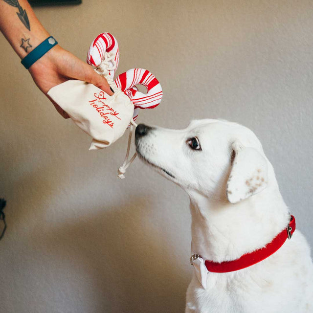 P.L.A.Y. Hundespielzeug | Cheerful Candy Canes Stoffspielzeug