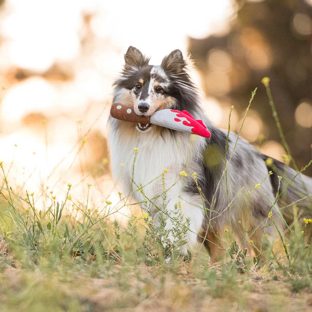 P.L.A.Y. Hundespielzeug | Doggy Dagger Stoffspielzeug