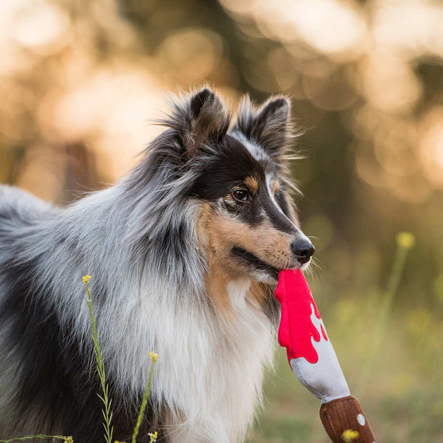 P.L.A.Y. Hundespielzeug | Doggy Dagger Stoffspielzeug