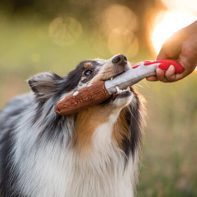 P.L.A.Y. Hundespielzeug | Doggy Dagger Stoffspielzeug