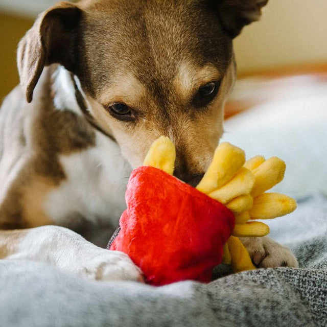 P.L.A.Y. Hundespielzeug, French Fries Stoffspielzeug