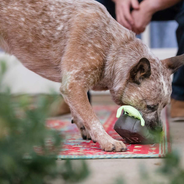 P.L.A.Y. Hundespielzeug | Ghoulish Grave Stoffspielzeug