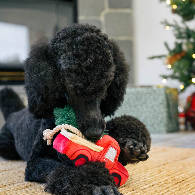 P.L.A.Y. Hundespielzeug | Holiday Hauler Stoffspielzeug
