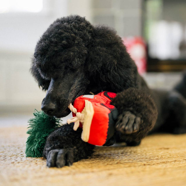 P.L.A.Y. Hundespielzeug | Holiday Hauler Stoffspielzeug