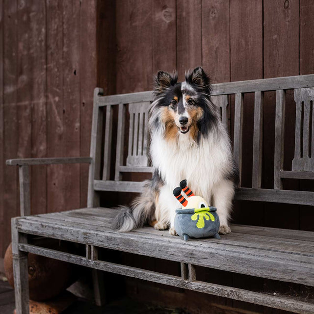 P.L.A.Y. Hundespielzeug | Pup´s Potion Stoffspielzeug