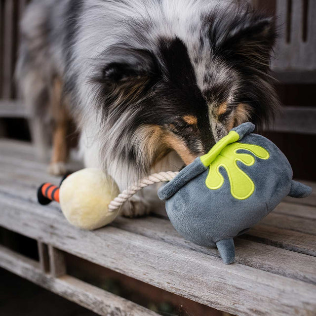 P.L.A.Y. Hundespielzeug | Pup´s Potion Stoffspielzeug