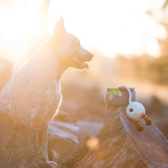 P.L.A.Y. Hundespielzeug | Pup´s Potion Stoffspielzeug