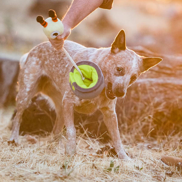 P.L.A.Y. Hundespielzeug | Pup´s Potion Stoffspielzeug