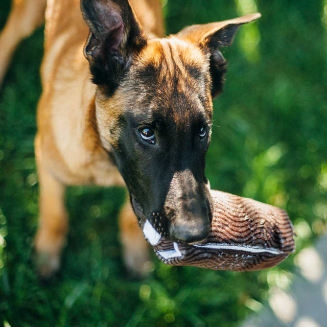 P.L.A.Y. Hundespielzeug | Yummy Yuletide Log Stoffspielzeug