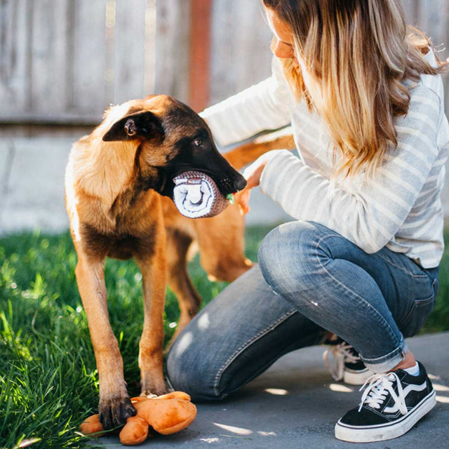 P.L.A.Y. Hundespielzeug | Yummy Yuletide Log Stoffspielzeug