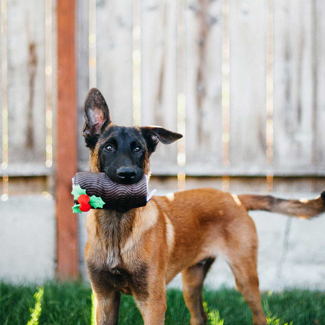 P.L.A.Y. Hundespielzeug | Yummy Yuletide Log Stoffspielzeug