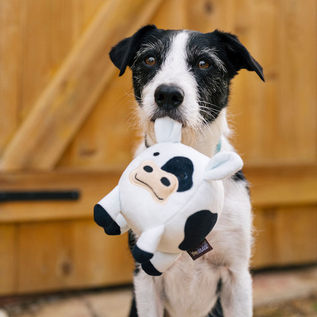 P.L.A.Y. Hundespielzeug, Cole the Cow Stoffspielzeug