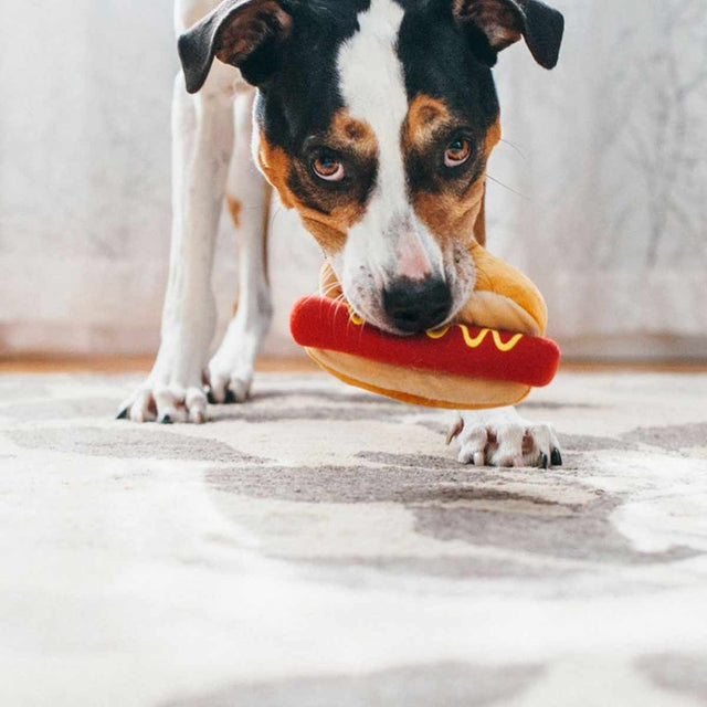 P.L.A.Y. Hundespielzeug, Hot Diggy Dog Stoffspielzeug