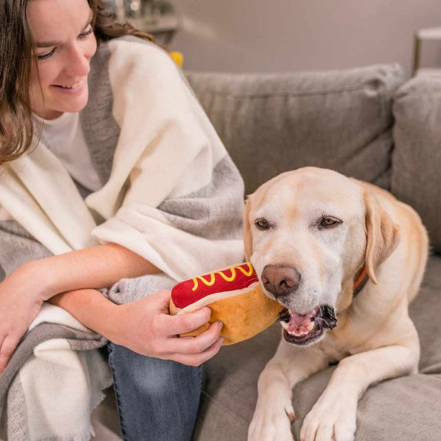 P.L.A.Y. Hundespielzeug, Hot Diggy Dog Stoffspielzeug