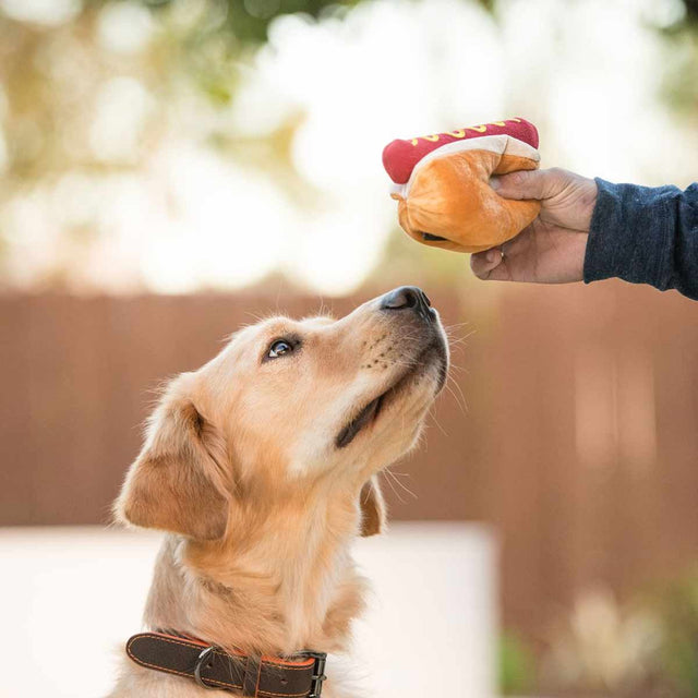 P.L.A.Y. Hundespielzeug, Hot Diggy Dog Stoffspielzeug