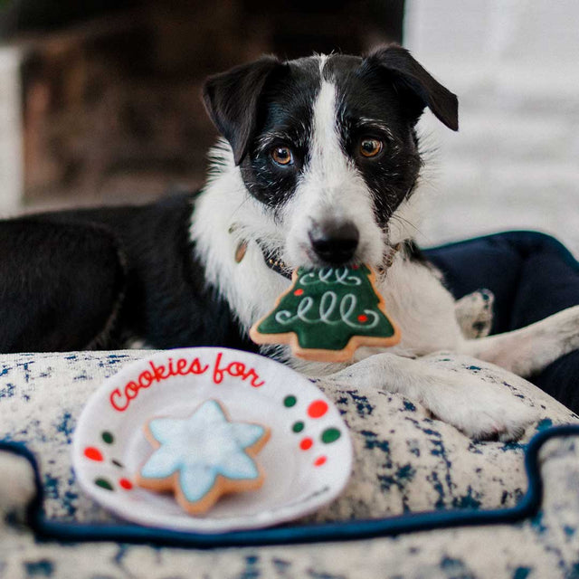 P.L.A.Y. Hundespielzeug | Chrismas Eve Cookies Stoffspielzeug