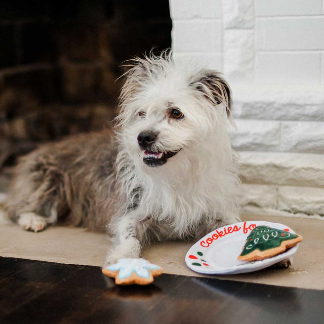 P.L.A.Y. Hundespielzeug | Chrismas Eve Cookies Stoffspielzeug