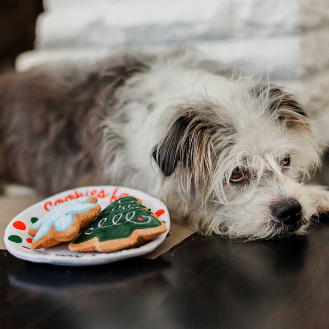 P.L.A.Y. Hundespielzeug | Chrismas Eve Cookies Stoffspielzeug