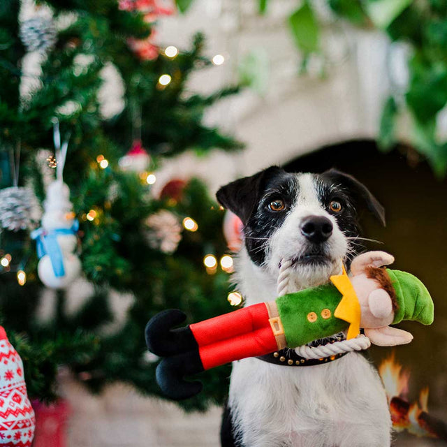 P.L.A.Y. Hundespielzeug | Santa`s Little Elf-er Stoffspielzeug