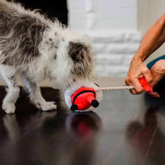 P.L.A.Y. Hundespielzeug | Clumsy Claus Stoffspielzeug