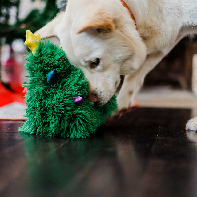 P.L.A.Y. Hundespielzeug | Doglas Fur Stoffspielzeug