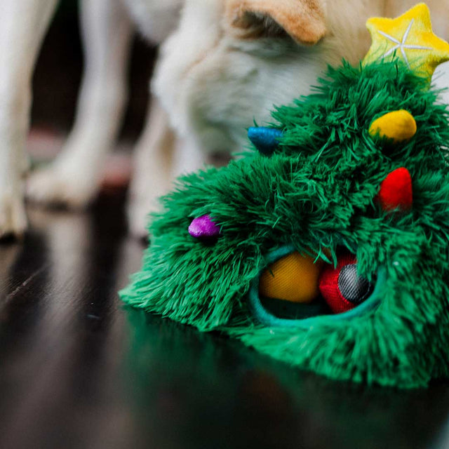 P.L.A.Y. Hundespielzeug | Doglas Fur Stoffspielzeug