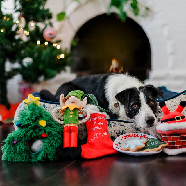 P.L.A.Y. Hundespielzeug | Clumsy Claus Stoffspielzeug