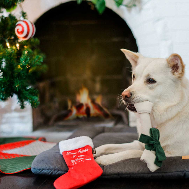 P.L.A.Y. Hundespielzeug | Good Dog Stocking Stoffspielzeug
