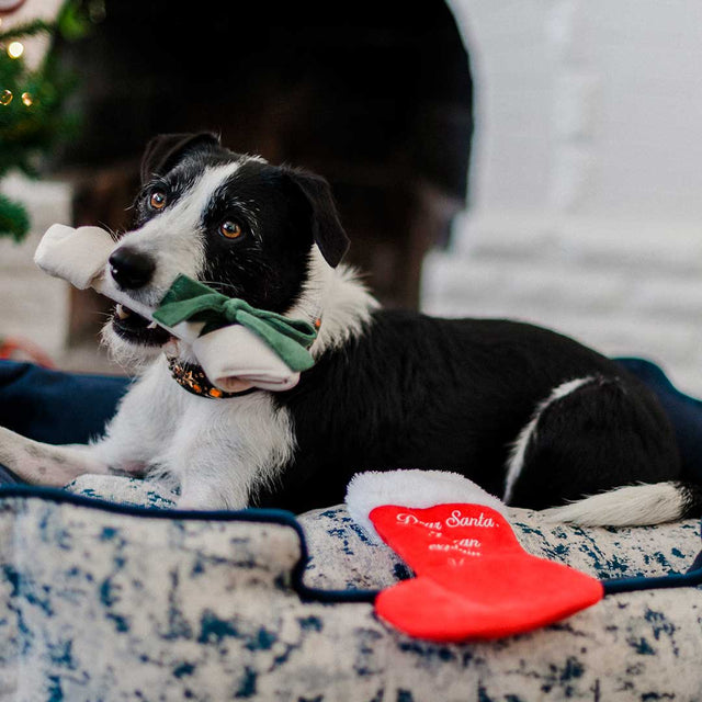 P.L.A.Y. Hundespielzeug | Good Dog Stocking Stoffspielzeug