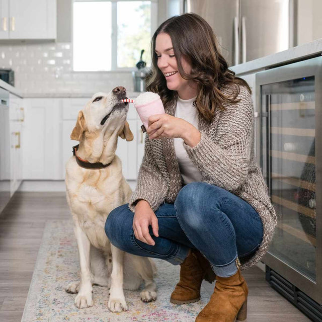 P.L.A.Y. Hundespielzeug, Mutts Milkshake Stoffspielzeug