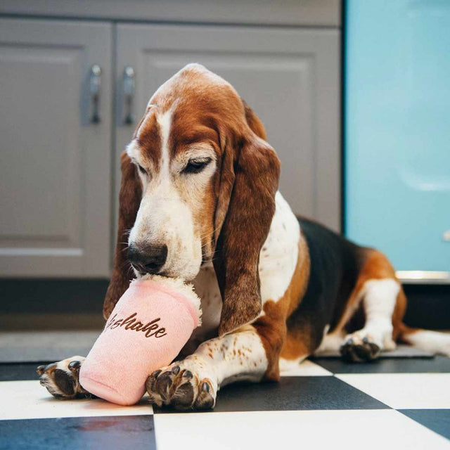 P.L.A.Y. Hundespielzeug, Mutts Milkshake Stoffspielzeug