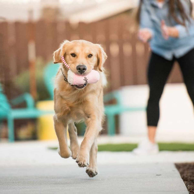 P.L.A.Y. Hundespielzeug, Mutts Milkshake Stoffspielzeug