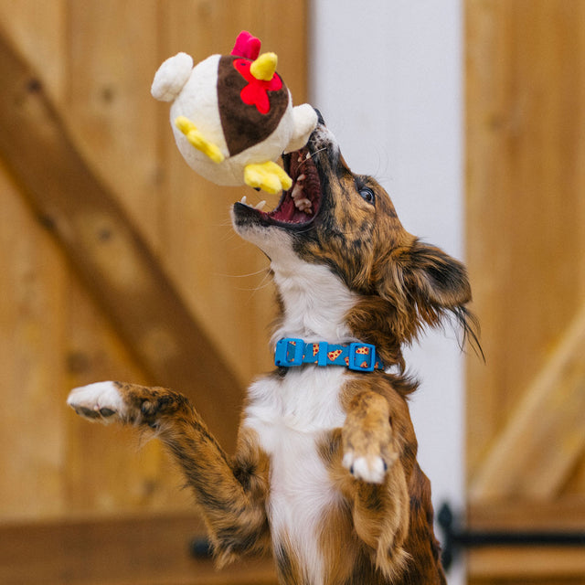 P.L.A.Y. Hundespielzeug, Ryan the Rooster Stoffspielzeug