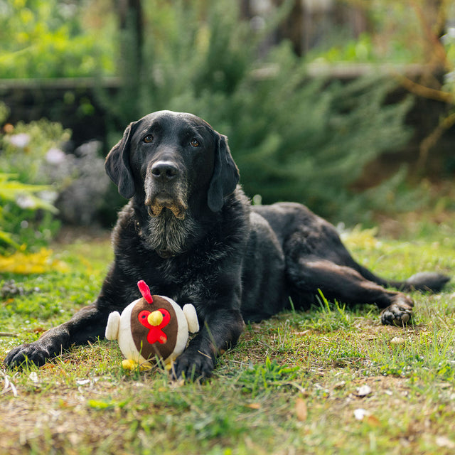 P.L.A.Y. Hundespielzeug, Ryan the Rooster Stoffspielzeug
